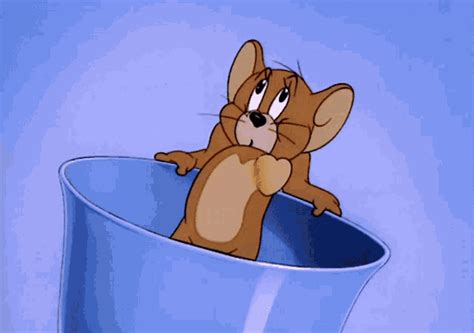 gif tom and jerry